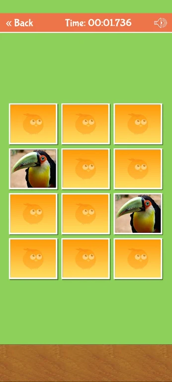 Birds Memory Match Game Zrzut ekranu 0