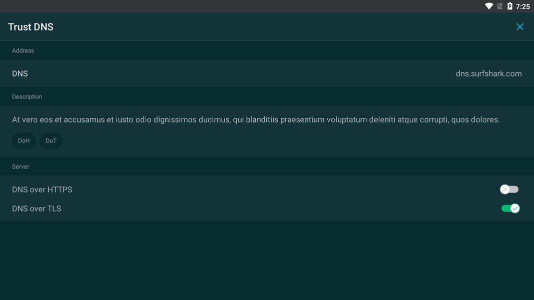Trust DNS Screenshot 2