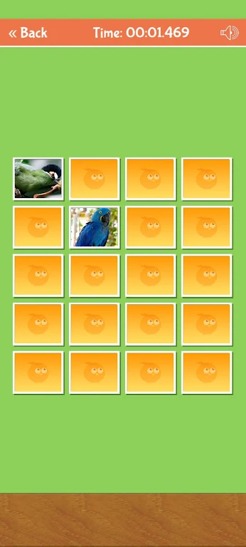 Birds Memory Match Game Capture d'écran 2