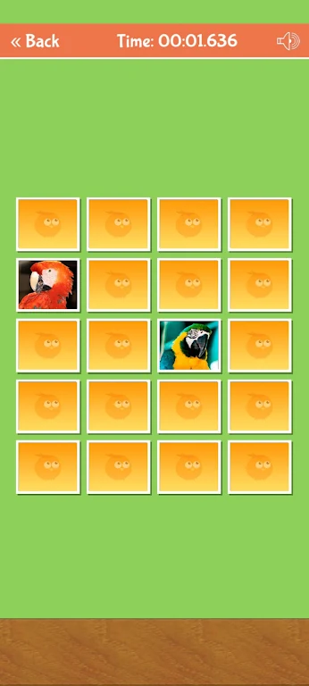 Birds Memory Match Game Zrzut ekranu 3