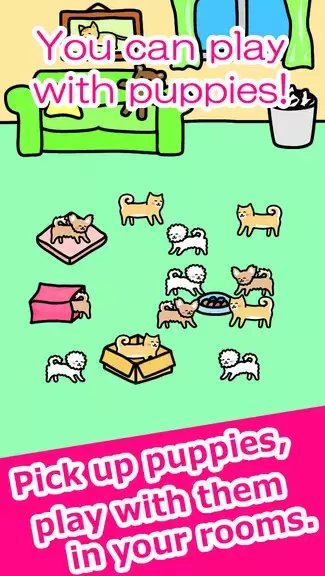 Play with Dogs - relaxing game应用截图第1张