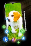 Puppies Wallpapers in 4K Tangkapan skrin 2