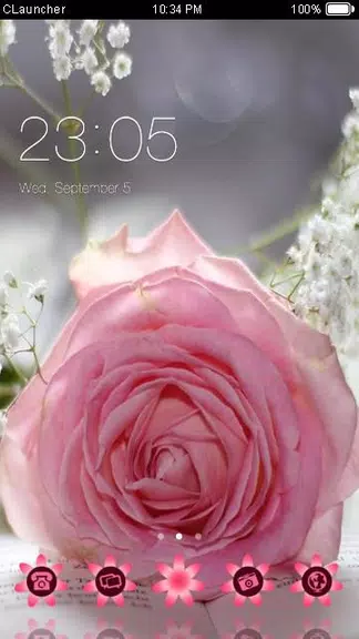 Pretty Pink Rose Theme Screenshot 0