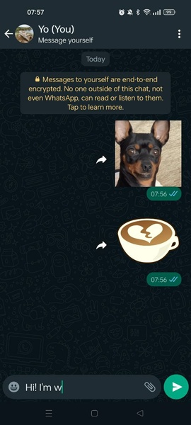 WhatsApp Messenger Captura de tela 0