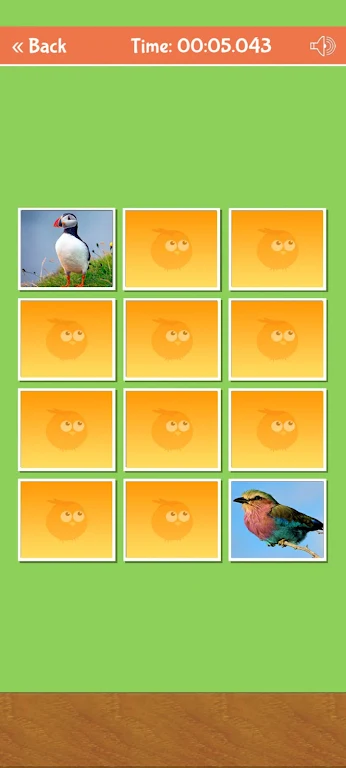 Birds Memory Match Game Zrzut ekranu 1