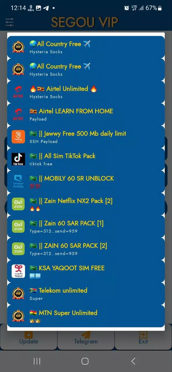 SEGOU VIP VPN ဖန်သားပြင်ဓာတ်ပုံ 2