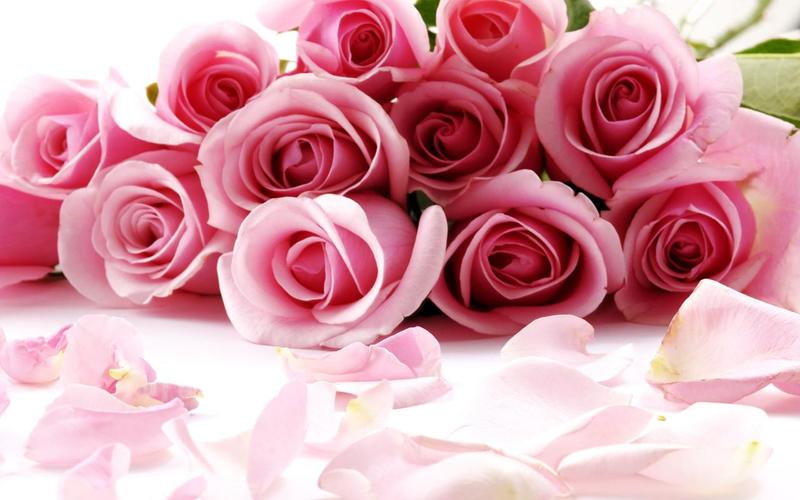 Schermata Roses Jigsaw Puzzles 2