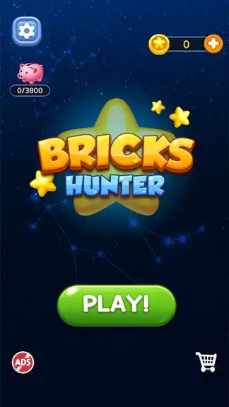 Bricks Hunter : Cube Puzzle Tangkapan skrin 0