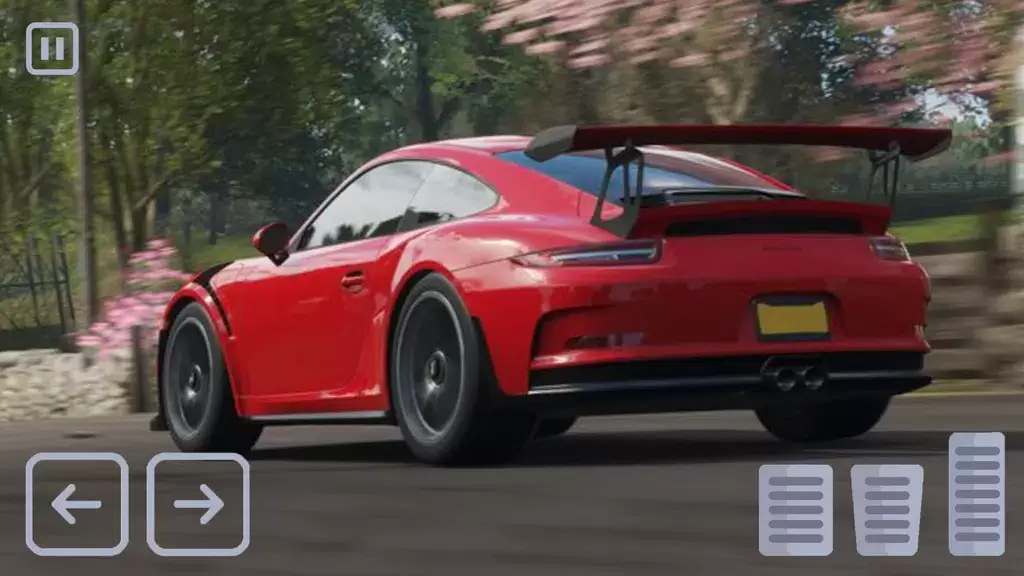 Racing Porsche Carrera 911 GT3 스크린샷 3