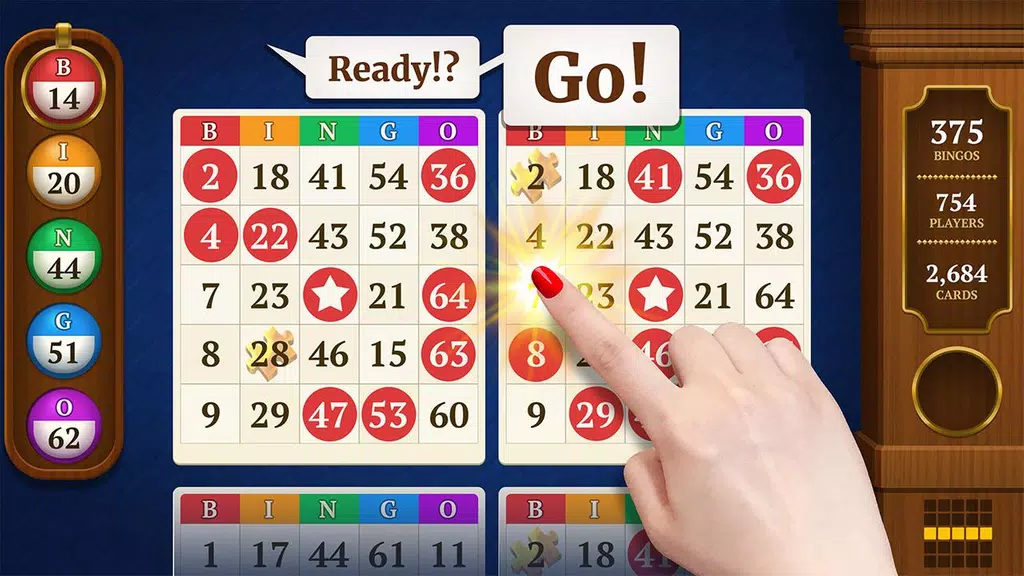 Power Bingo: Free Casino Games स्क्रीनशॉट 0