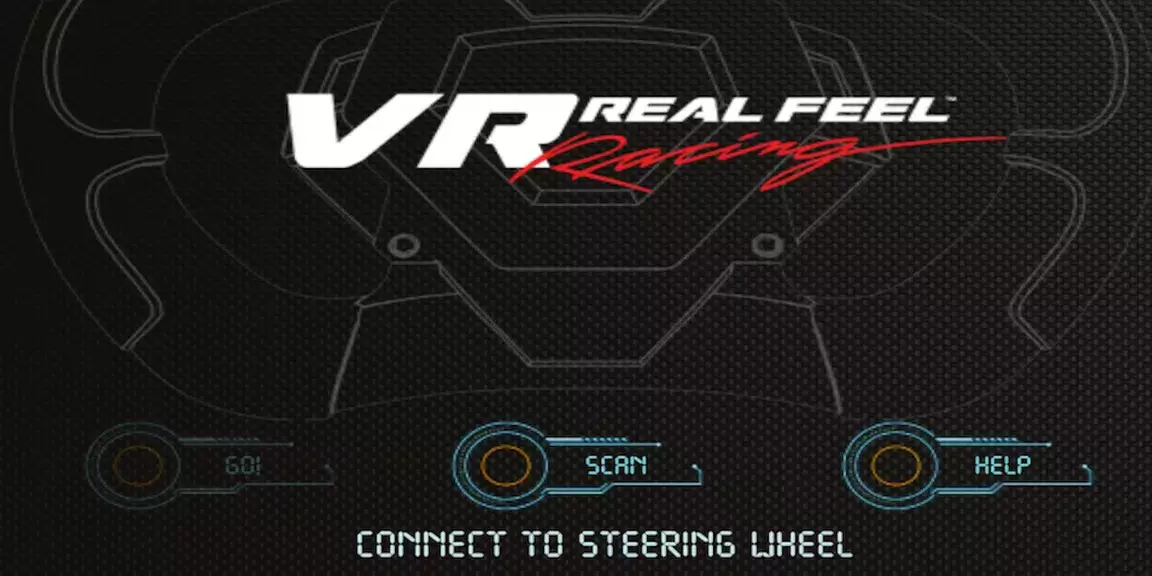 VR Real Feel Racing應用截圖第0張