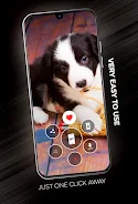 Puppies Wallpapers in 4K स्क्रीनशॉट 1