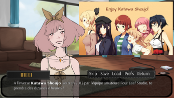 Quel Visual Novel est fait pour moi ? ภาพหน้าจอ 1