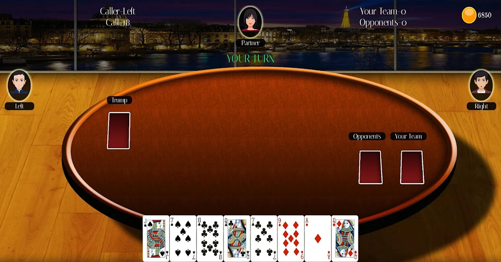 29 Card Game Lite Screenshot 2