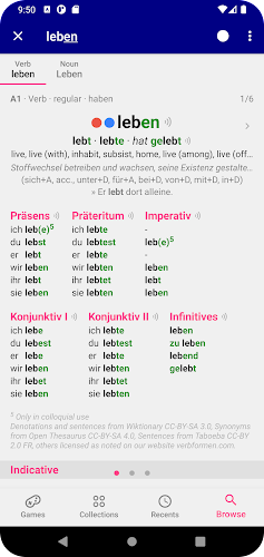 German Dictionary Zrzut ekranu 0