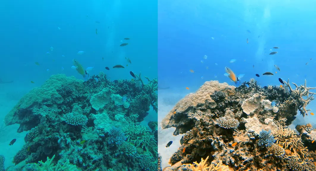 UwEdit - Diving footage editor应用截图第0张