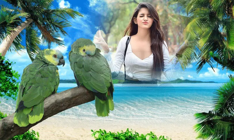 Birds Photo frame : Bird photo স্ক্রিনশট 0