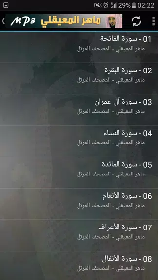 ماهر المعيقلي القران الكريم Screenshot 2