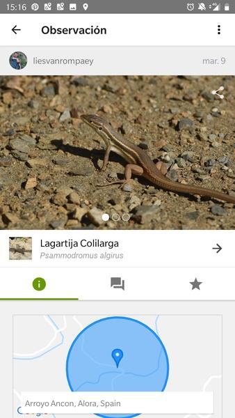 iNaturalist Captura de pantalla 2