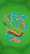 Snake Knot: Sort Puzzle Game Ảnh chụp màn hình 1