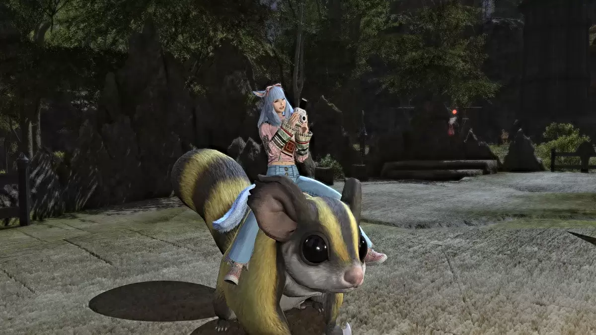 Fotografieren Sie Emote auf einem Berg in FFXIV