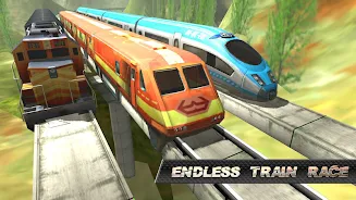 Train Race ภาพหน้าจอ 3